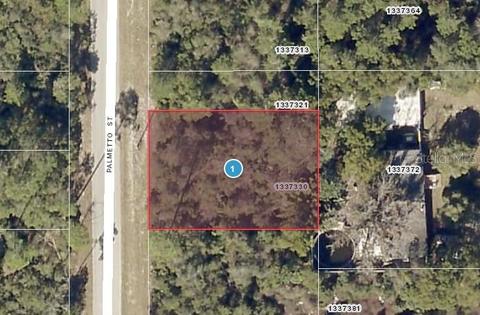 Palmetto Street, Paisley, FL 32767