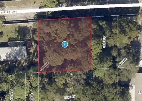 Luella Avenue, Paisley, FL 32767