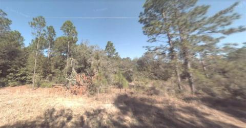 SW 73rd Lane, Dunnellon, FL 34432