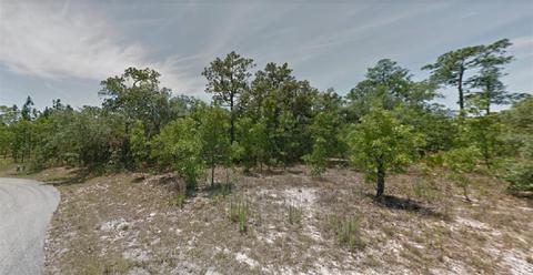 3 Coconut Ct, Homosassa, FL 34446