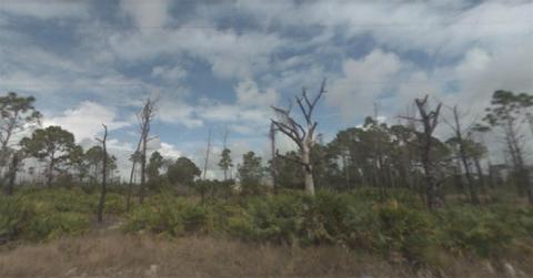 27374 Sandrala Dr, Punta Gorda, FL 33955
