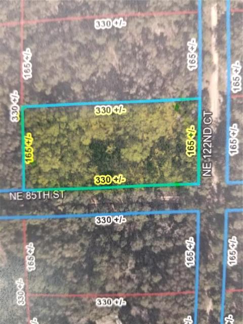 85 NE Th Street Ne 122nd Ct NW, Bronson, FL 32621