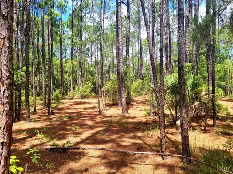 tbd Tropical Dr, Eustis, FL 32726 photo 7
