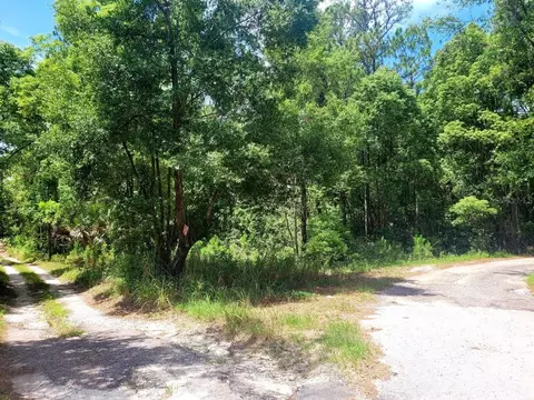 tbd Tropical Dr, Eustis, FL 32726 photo 20
