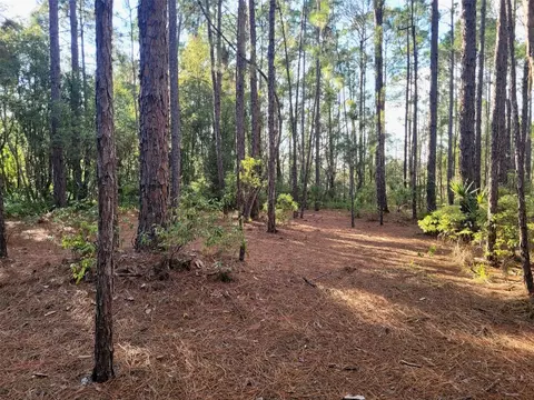 tbd Tropical Dr, Eustis, FL 32726 photo 22