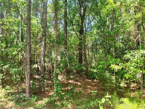 tbd Tropical Dr, Eustis, FL 32726 photo 14