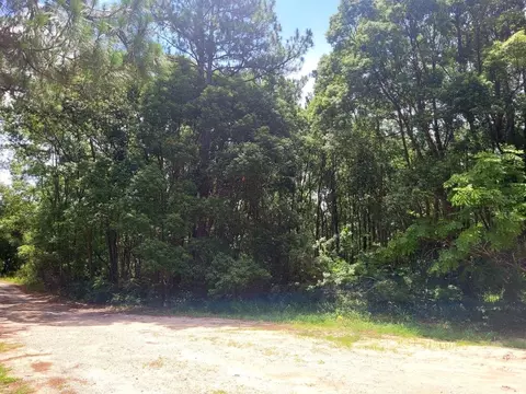 tbd Tropical Dr, Eustis, FL 32726 photo 19