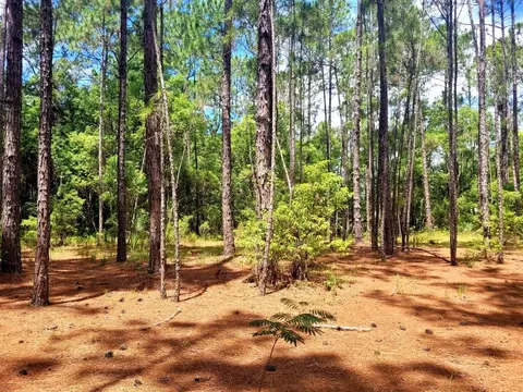 tbd Tropical Dr, Eustis, FL 32726 photo 8