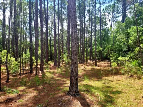 tbd Tropical Dr, Eustis, FL 32726 photo 12