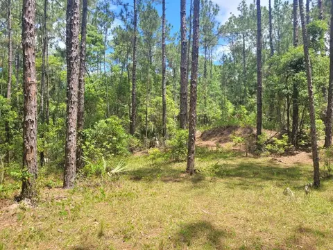 tbd Tropical Dr, Eustis, FL 32726 photo 13
