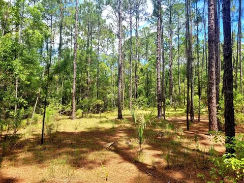 tbd Tropical Dr, Eustis, FL 32726