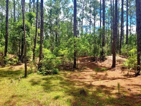 tbd Tropical Dr, Eustis, FL 32726 photo 11
