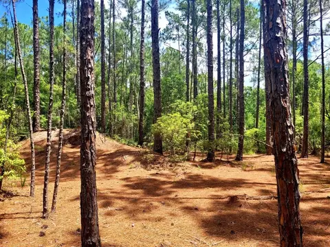 tbd Tropical Dr, Eustis, FL 32726 photo 9