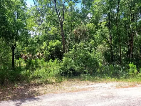 tbd Tropical Dr, Eustis, FL 32726 photo 21
