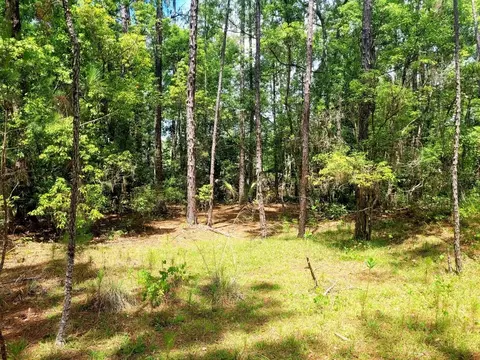 tbd Tropical Dr, Eustis, FL 32726 photo 10