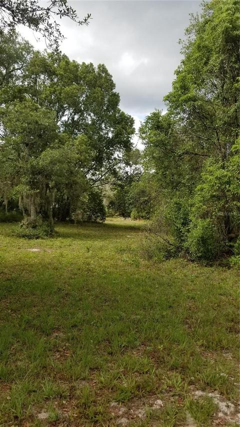 32203 Wacassa Trl, Sorrento, FL 32776