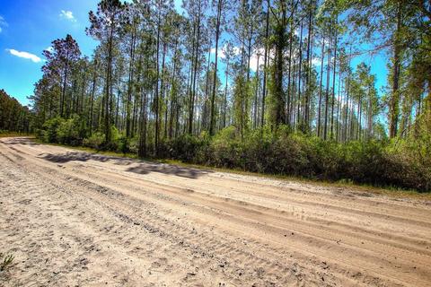 0 Clyatt Rd, Chiefland, FL 32626