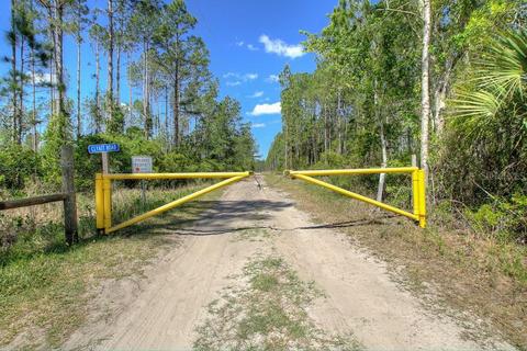 0 NW Cannon Rd, Chiefland, FL 32626