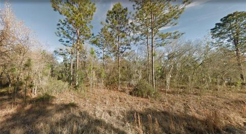 1331 NE 122nd Ave, Williston, FL 32696
