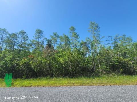 9395 Atlanta Dr, Saint Cloud, FL 34773