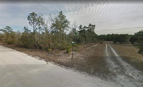 12110 NE 63rd Pl, Williston, FL 32696