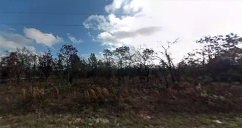 SW Viburnum Road, Dunnellon, FL 34431
