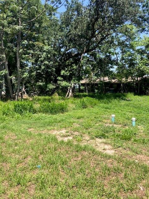 528 W Hull Ave, Oakland, FL 34760