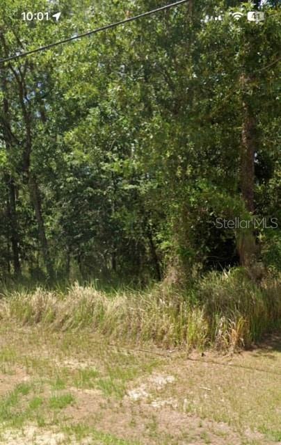 Sw 129th Pl Ocala Fl 34470, Ocala, FL 34470