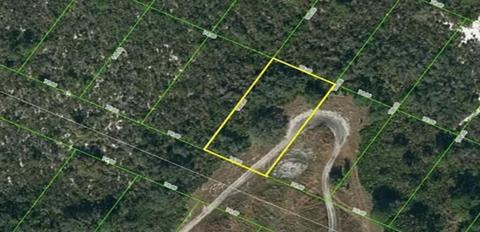 1030 Cleveland Ave, Lake Placid, FL 33852