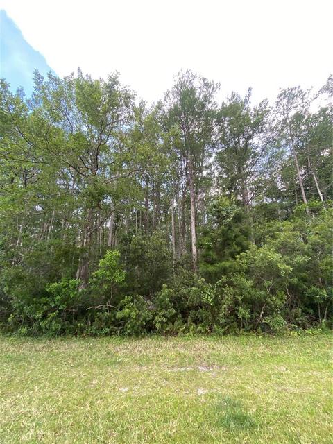 Moorgate Street, Orlando, FL 32833