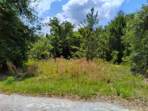 40306 Lime St, Eustis, FL 32736