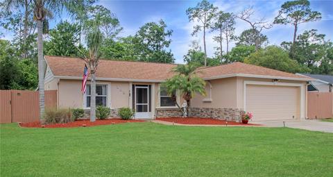 102 Crooked Pine Dr, Sanford, FL 32773