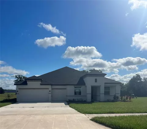 9952 Dolphin Gull Cir, Thonotosassa, FL 33592
