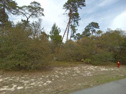 0 SW 177th Lane Rd, Ocala, FL 34473