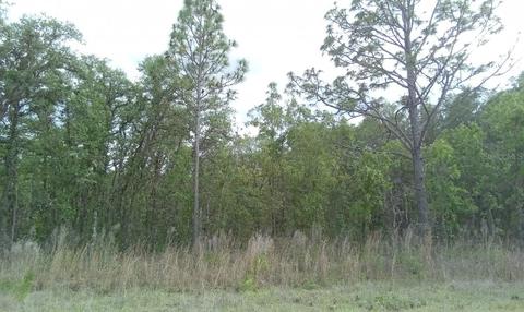 0 SW 85th Pl, Ocala, FL 34476