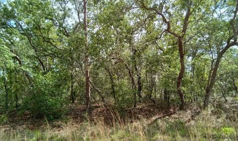0 W 91th Ln #7, Dunnellon, FL 34432