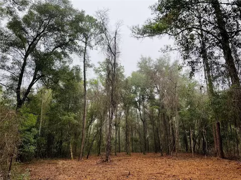 1594 E Derby Dr, Citrus Springs, FL 34434