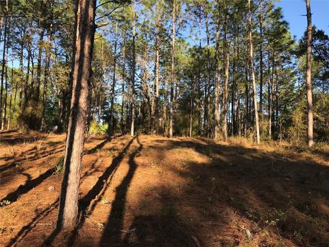 8965 SW 212th Ct, Dunnellon, FL 34431