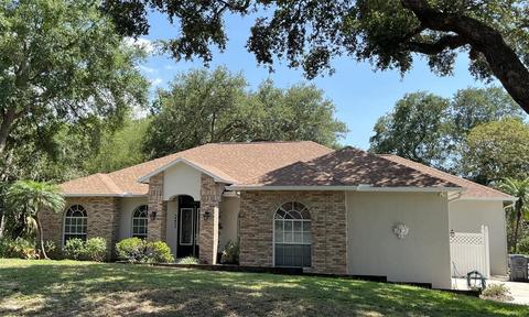 10911 Elliot St, Riverview, FL 33578