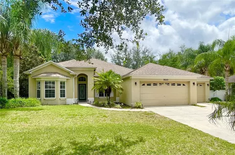 36212 Spirit Ct, Grand Island, FL 32735