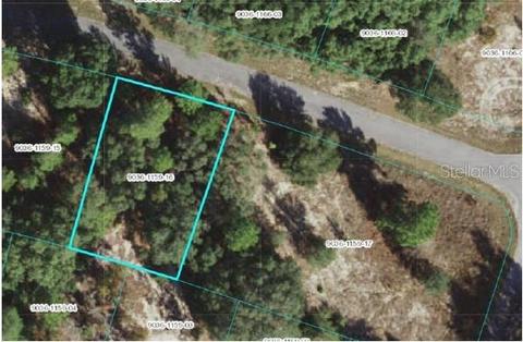 Tbd Fisher Way Pass, Ocklawaha, FL 32179