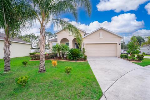 3340 Oro Valley Cir, Mount Dora, FL 32757