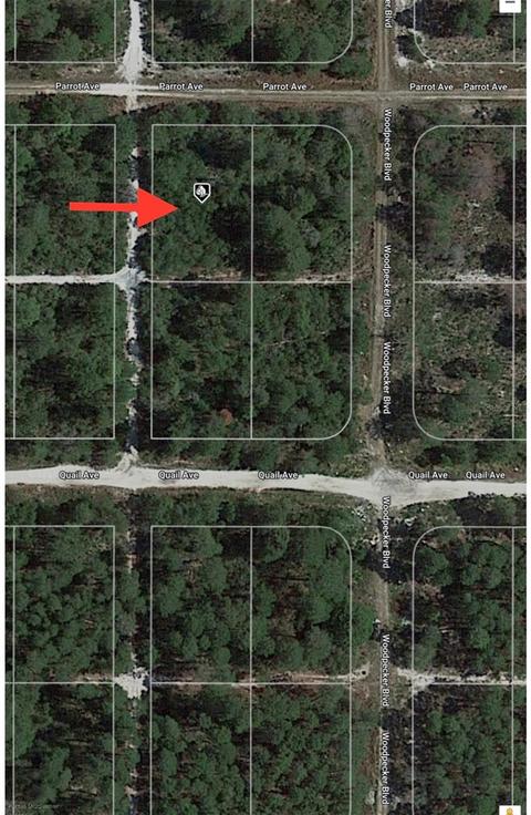 509 Parrot Ave, Sebring, FL 33872