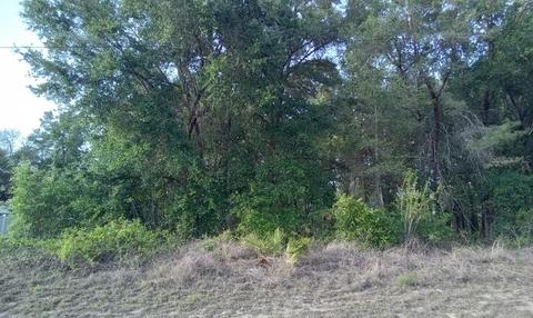 0 SW 168th Loop #2, Ocala, FL 34473