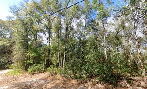 19851 SE 156th St, Umatilla, FL 32784