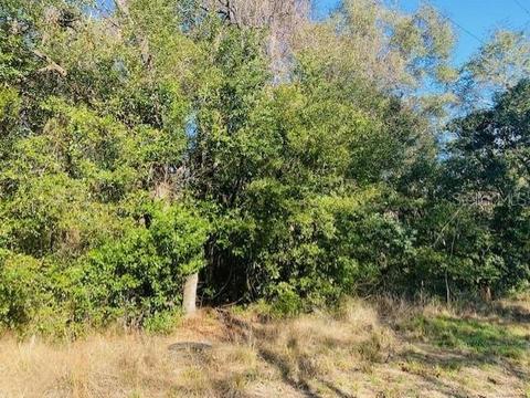 NE 142nd Court, Williston, FL 32696
