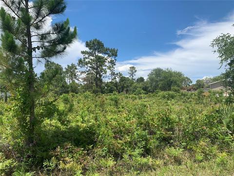 Concord Road, Saint Cloud, FL 34773