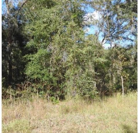 Sw Beach Blvd, Dunnellon, FL 34431