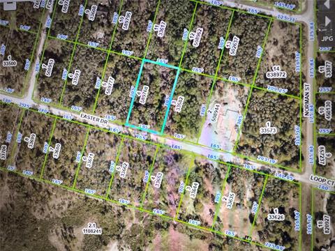 Easter Drive, Webster, FL 33597