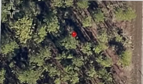 00 NW Redwing Rd, Dunnellon, FL 34431